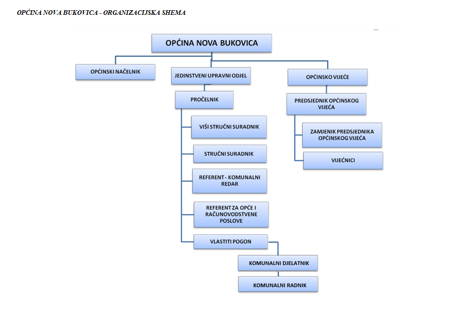 Organizacijska shema